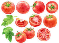 トマト」の写真素材 | 6,015,251件の無料イラスト画像 | Adobe Stock